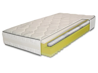 SPECTRA_latex_white_backround